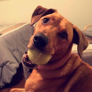 Meet your Posher, Courtney